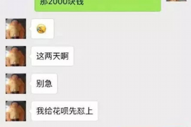 南召融资清欠服务